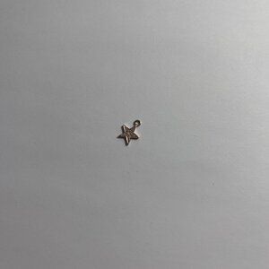 14K Rose Gold and Diamond Star Hoop Charm